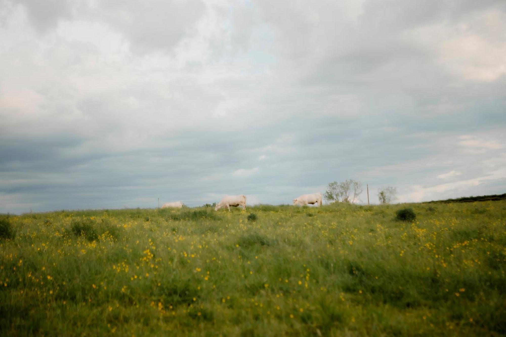 La Suite Prairie Tomette Singuliere Chateau  외부 사진
